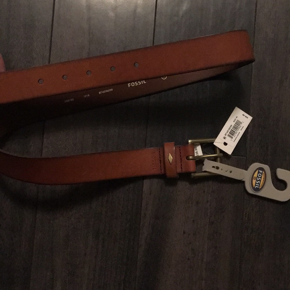 M Brown Fossil belt